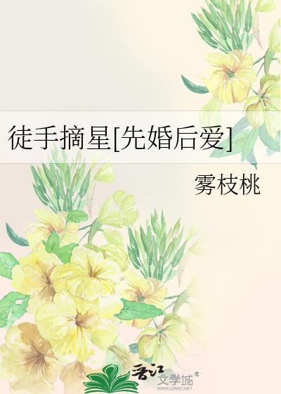 徒手摘星下一句是什么请回答
