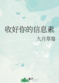 收好你的信息素百度TXT加番外