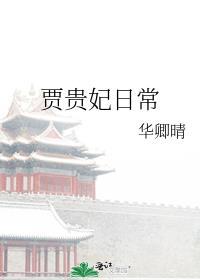 贾贵妃日常作者华卿晴