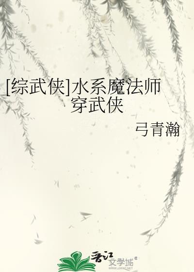 水系魔法师的