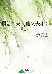 顾总夫人又作死了