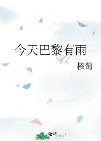今天巴黎有雨po