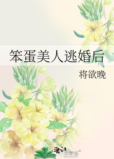 笨蛋美人逃婚后晋江