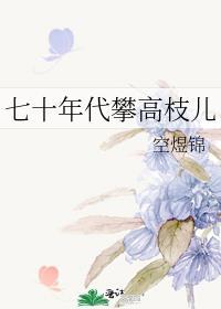 七十年代攀高枝儿剧情