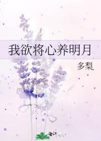 我欲将心养明月百度