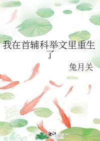 我在首辅科举文里重生了免费
