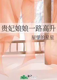 贵妃娘娘一路高升TXT百度