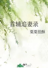 首辅追妻录类别历史架空作者 粟粟很酥
