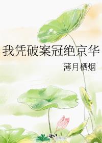 我凭破案冠绝京华142章