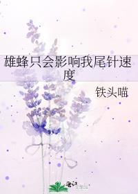 雄蜂不工作吗