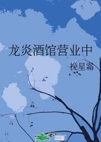 龙炎集团
