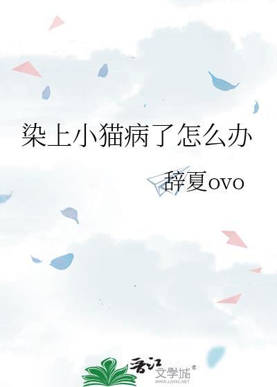 猫咪得了猫瘟自救方法