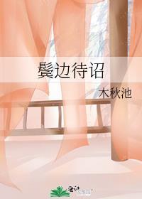 鬓边待诏41章和谐