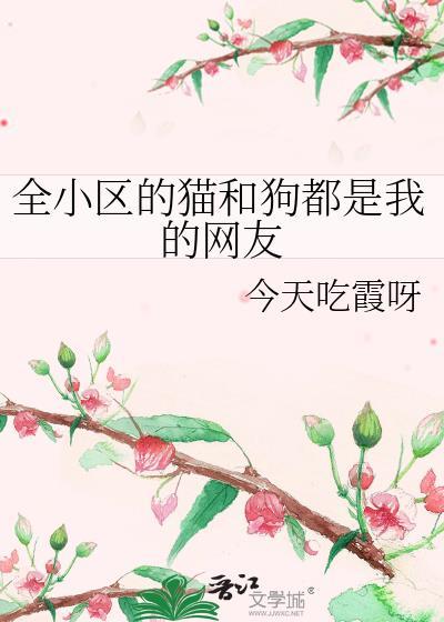 小区里的猫和狗作文