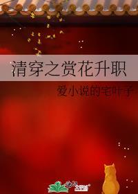 清穿赏花升职格格党