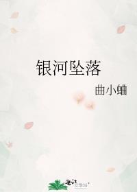 银河坠落晋江