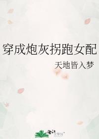 穿成炮灰女配的推荐
