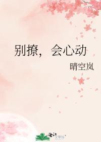 别撩我会心动的txt
