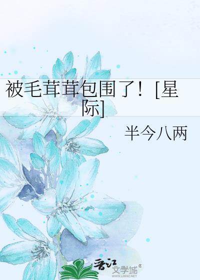 有毛茸茸的被子叫什么
