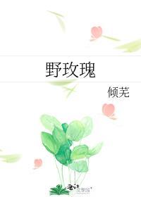 野玫瑰电视剧