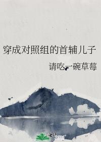 穿成对照组的首辅儿子科举请吃一碗