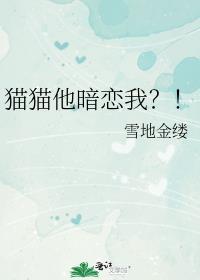 猫我喜欢你
