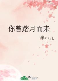 曾踏月而来