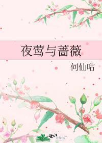 夜莺与蔷薇英文