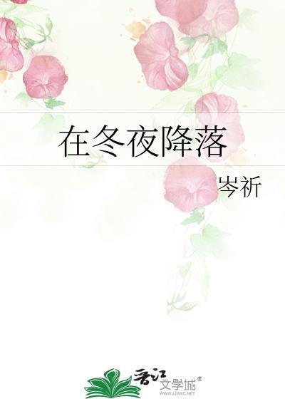 在冬夜降落by岑祈全文免费