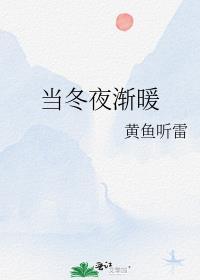 当冬夜渐暖讲的什么