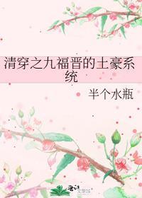 清穿之九福晋日常玫瑰网