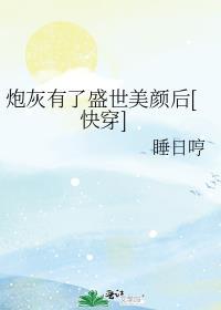 炮灰有盛世美颜橙光游戏攻略