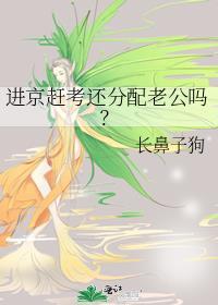 进京赶考还分配老公吗百度