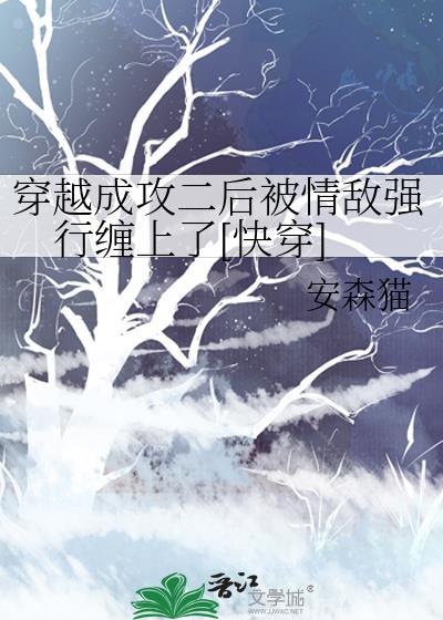 穿越成攻的攻是什么意思