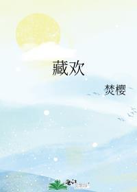 藏欢记全文免费阅读番外