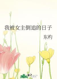 我被倒追了