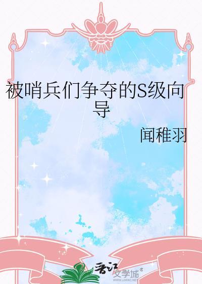 哨兵 向导
