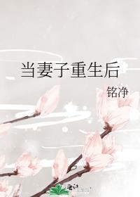 妻子重生了他没有结局