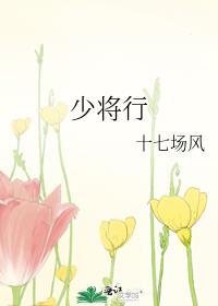 少将行十七场风