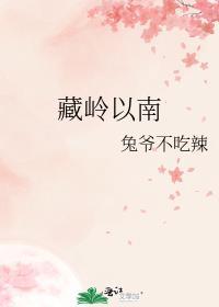 藏岭以南全文免费番外