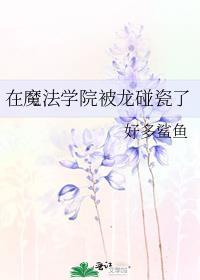 在魔法学院被龙碰瓷了番外