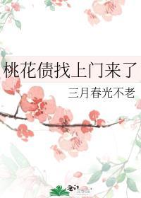 桃花债(下)书籍