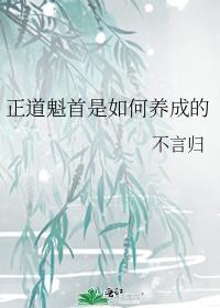 正道魁首是如何养成的晋江文学城