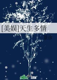 文斗冠军txt