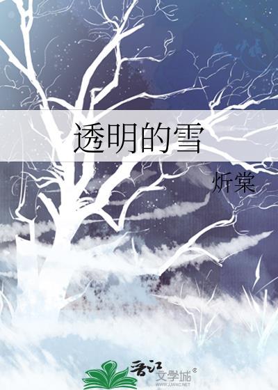 透明的雪韫铮txt