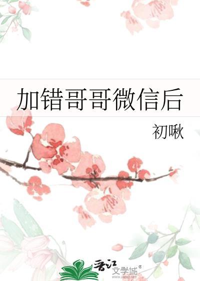 加了哥哥微信怎么说话