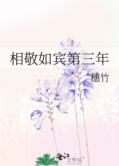 相敬如宾第三年免费阅读txt