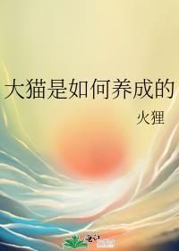 大猫是如何养成的讲的什么故事