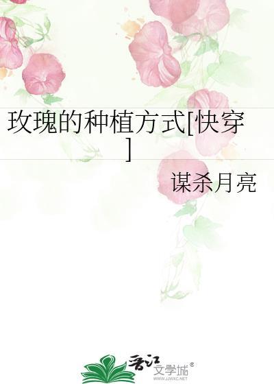 玫瑰的种植方法和时间