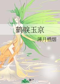 鹤唳玉京晋江